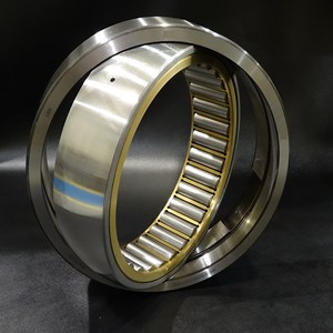 SINGLE ROW RADIAL NEEDLE ROLLER BEARINGS (WITH LONG CYLINDRICAL ROLLERS) WITHOUT RINGS