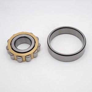 CYLINDRICAL ROLLER BEARINGS WITH SHORT CYLINDRICAL ROLLERS WITH INTEGRAL RIBS ON OUTER RING AND WITHOUT INNER RING