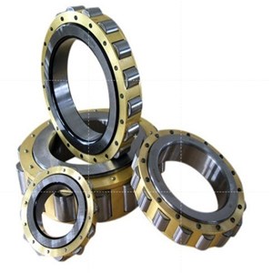 CYLINDRICAL ROLLER BEARINGS WITH SHORT CYLINDRICAL ROLLERS WITH TWO INTEGRAL RIBS ON THE INNER AND OUTER RINGS WITH A PROTRUDING INNER RING
