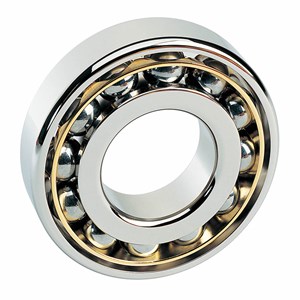 SINGLE ROW DEEP GROOVE BALL BEARINGS WITH PROTRUDING INNER RING