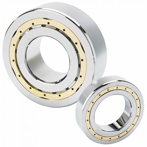 CYLINDRICAL ROLLER BEARINGS WITH TWO INTEGRAL RIBS ON THE OUTER RING,ONE INTEGRAL RIB AND ONE LOOSE RIB ON THE INNER RING