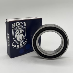 6013 2RS Deep Groove Ball Bearing