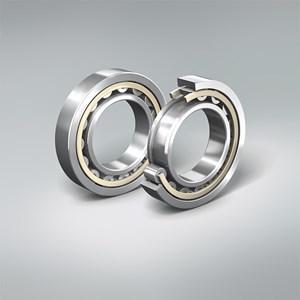 CYLINDRICAL ROLLER BEARINGS WITHOUT RIBS ON THE INNER RING